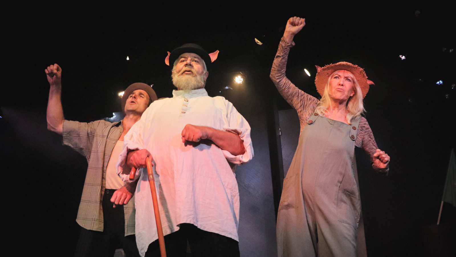 Animal Farm på Teatret ved Sorte Hest
